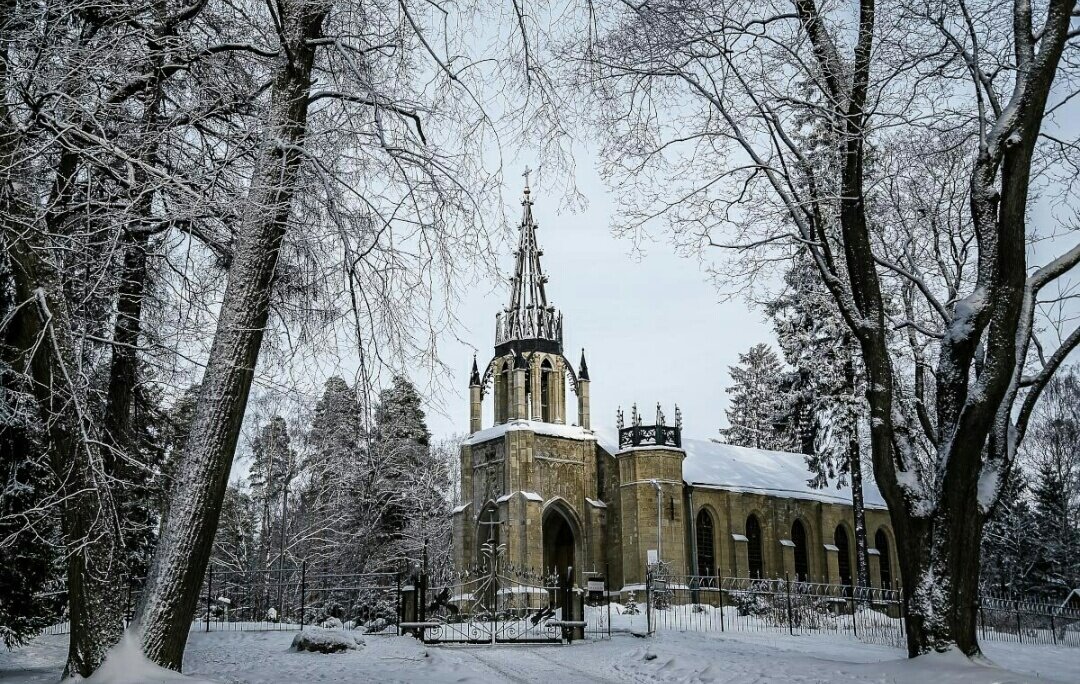 Парголово сад