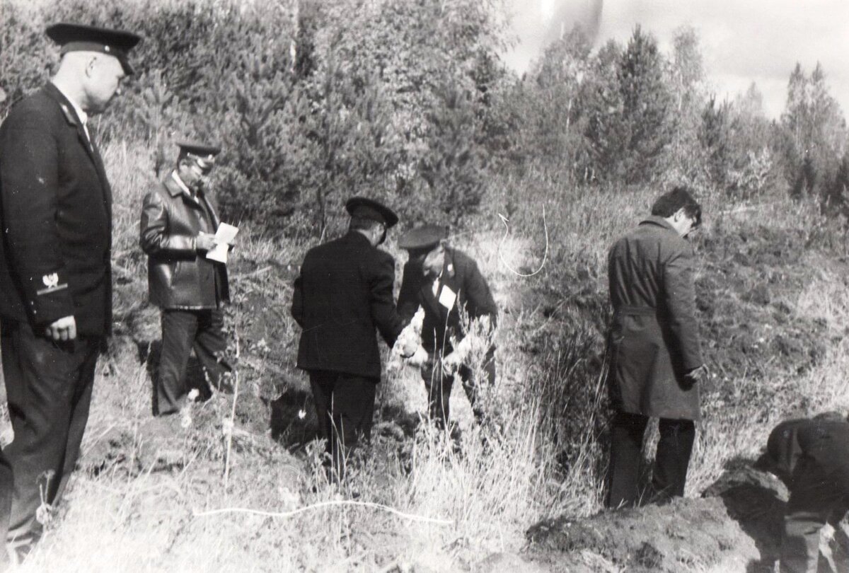 С любовью к лесу