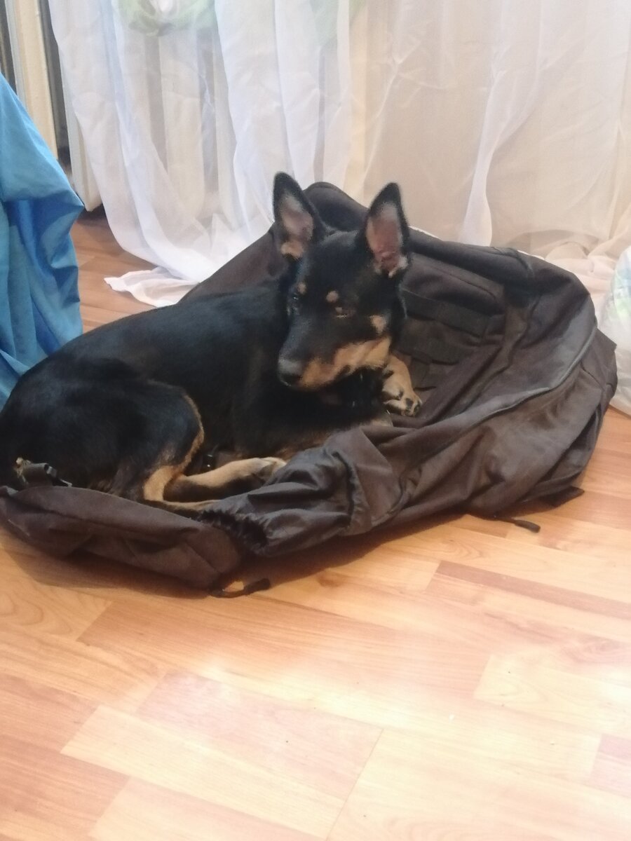 Теперь это мой рюкзак