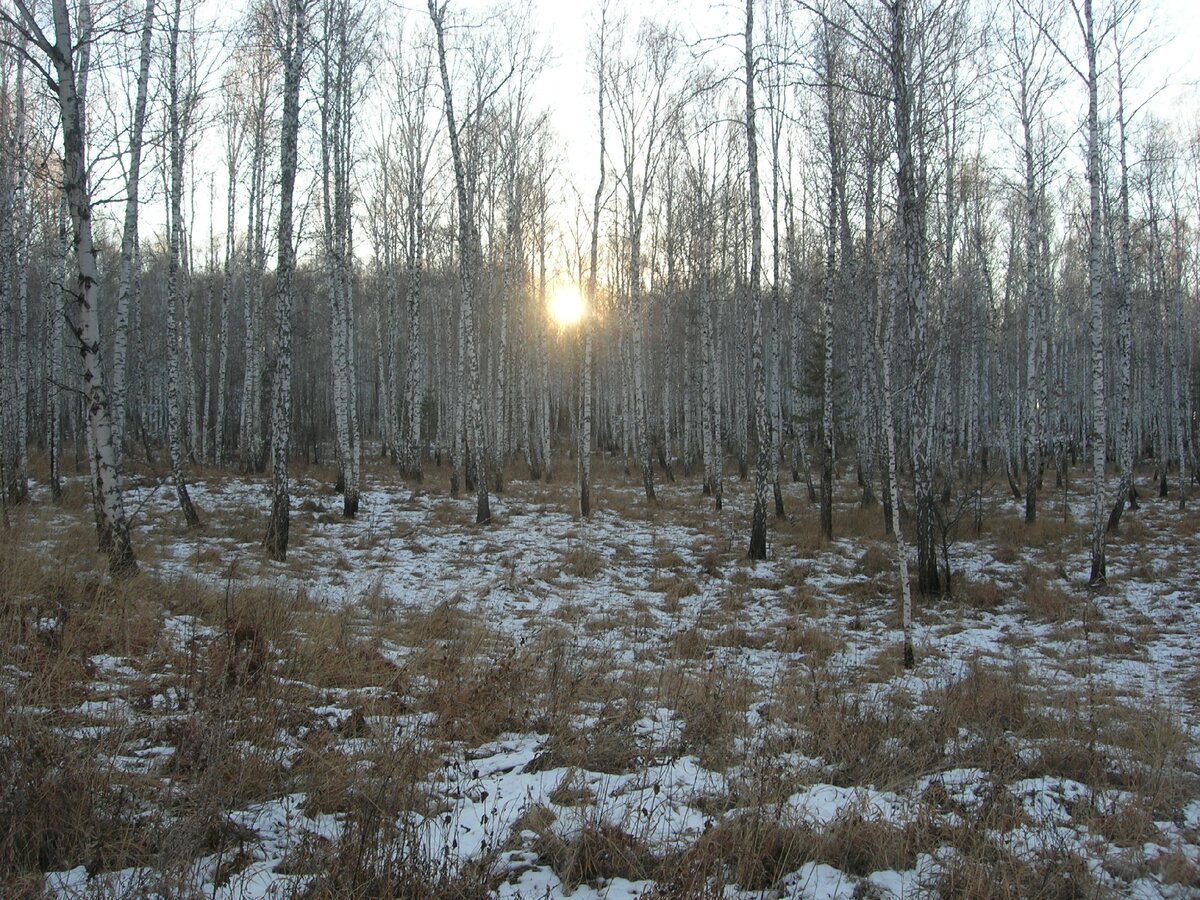 Где-то есть тропинка, ведущая к солнцу. Всегда и вопреки всему