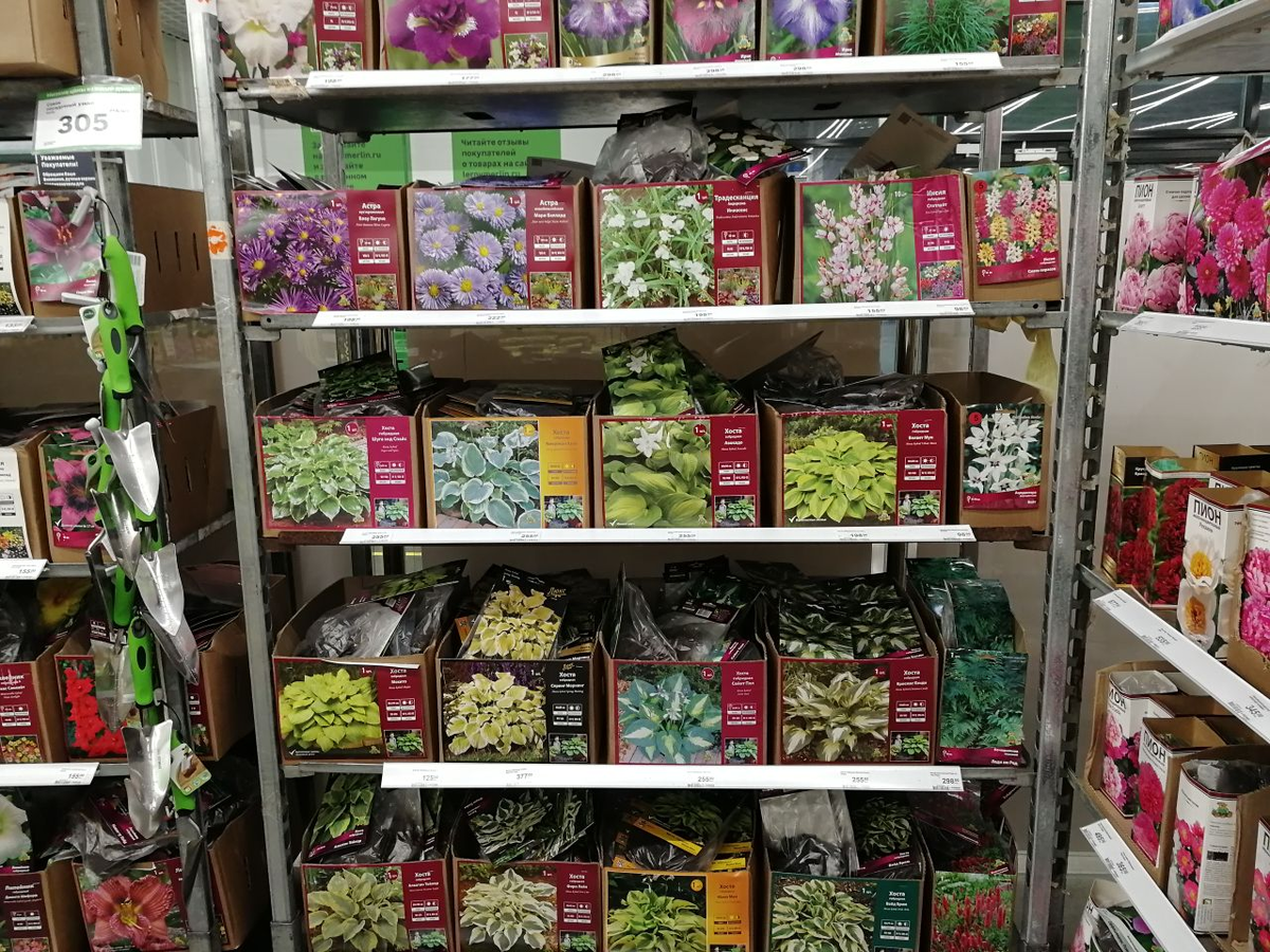 Стеллаж с корешками 