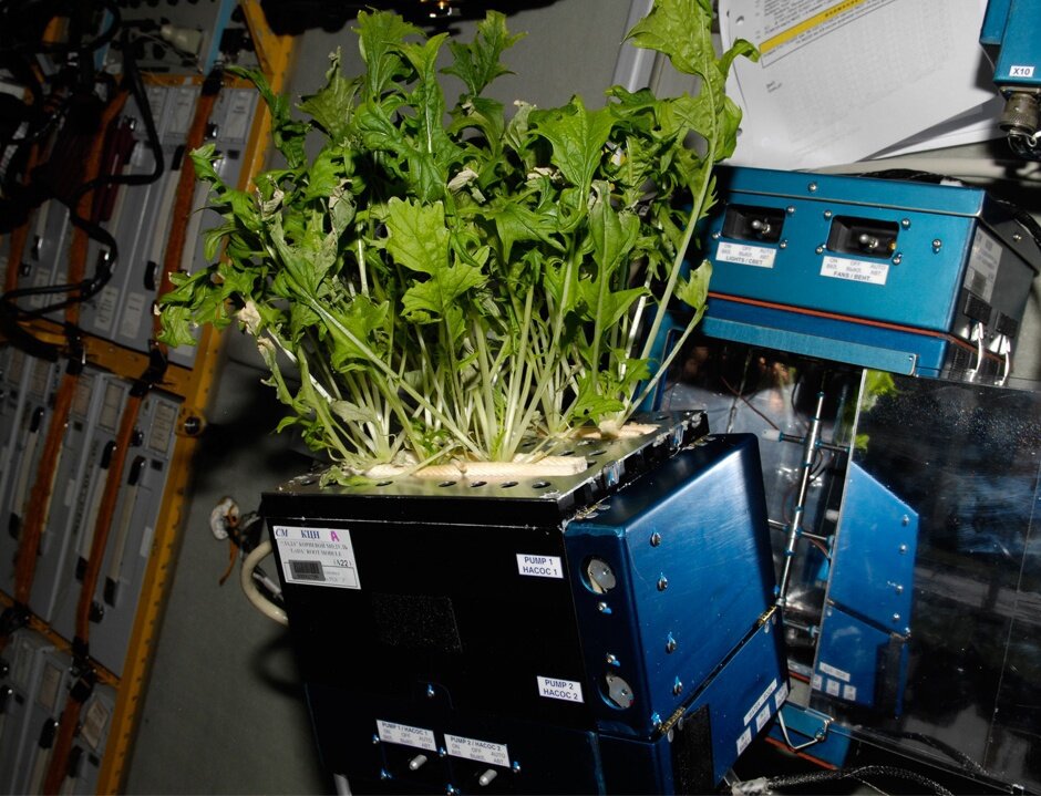 Фото:  marketbusinessnews.com