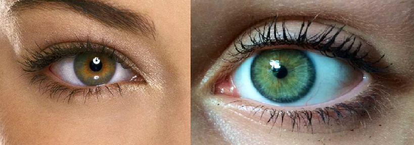 Почему зелёные глаза являются уникальными?