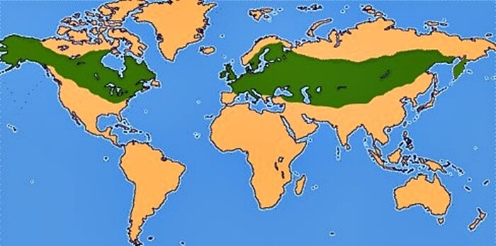 Стерлядь ареал обитания карта