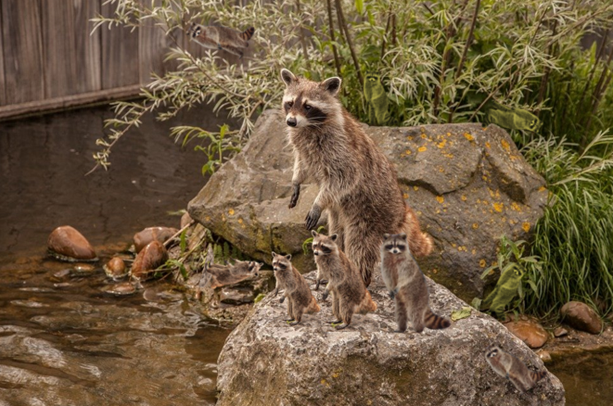 Оригинальная картинка картинки-векторы — pixabay