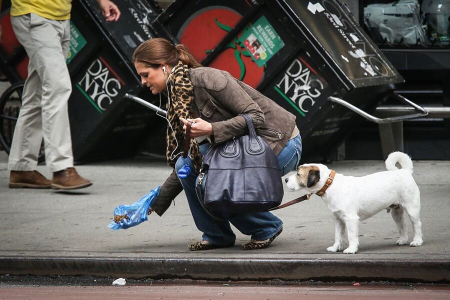 Знаменитое фото, на котором шведская принцесса, герцогиня Гельсингландская и Гестрикландская убирает за своей собакой.