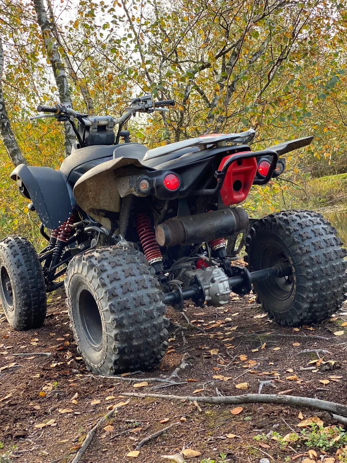 Задняя подвеска - кроссовая традиционная. Проходимости без нормальной грязезащиты от него требовать бессмысленно. Источник фото - https://auto.ru/atv/used/sale/tgb/target/3518262-c14862d6/