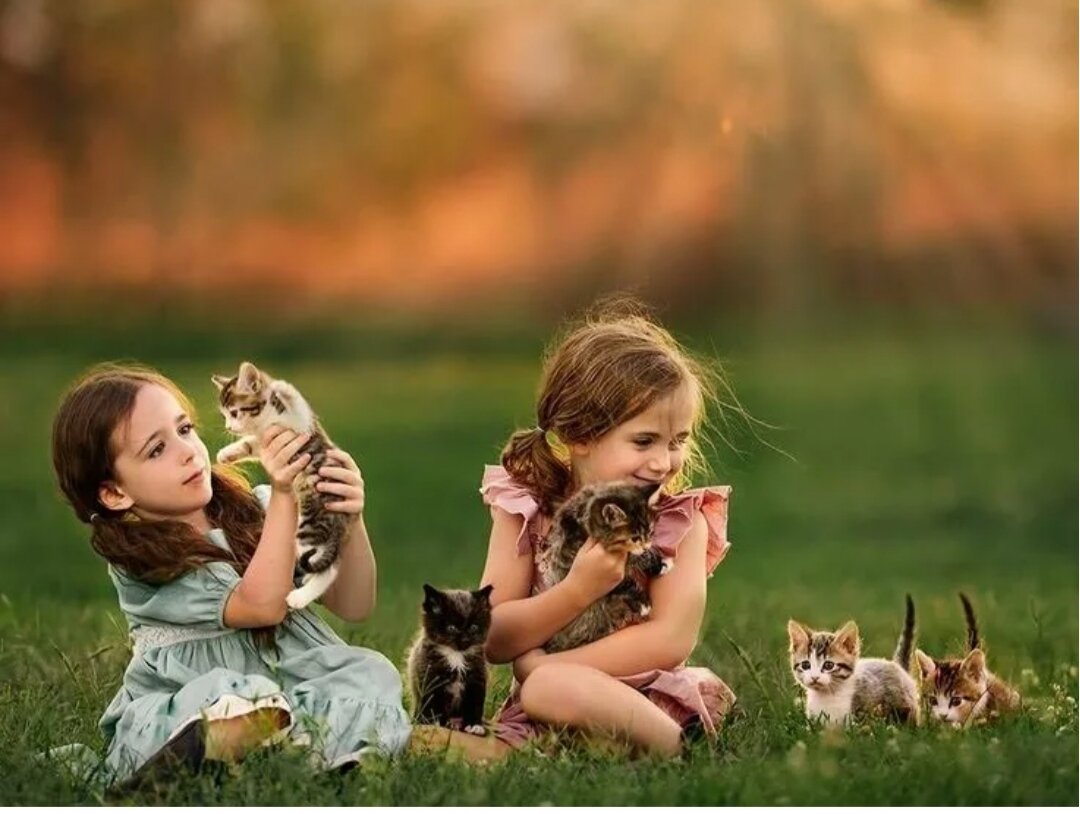 Детки играют с кисками. Кошка для детей. Котёнок-ребёнок. Девочка с котятами. Фотосессия с котятами и детьми.