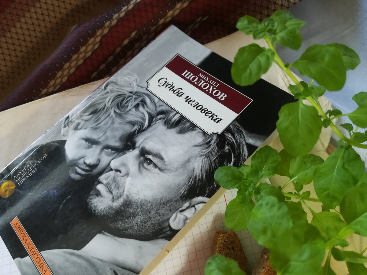 Кинообложка