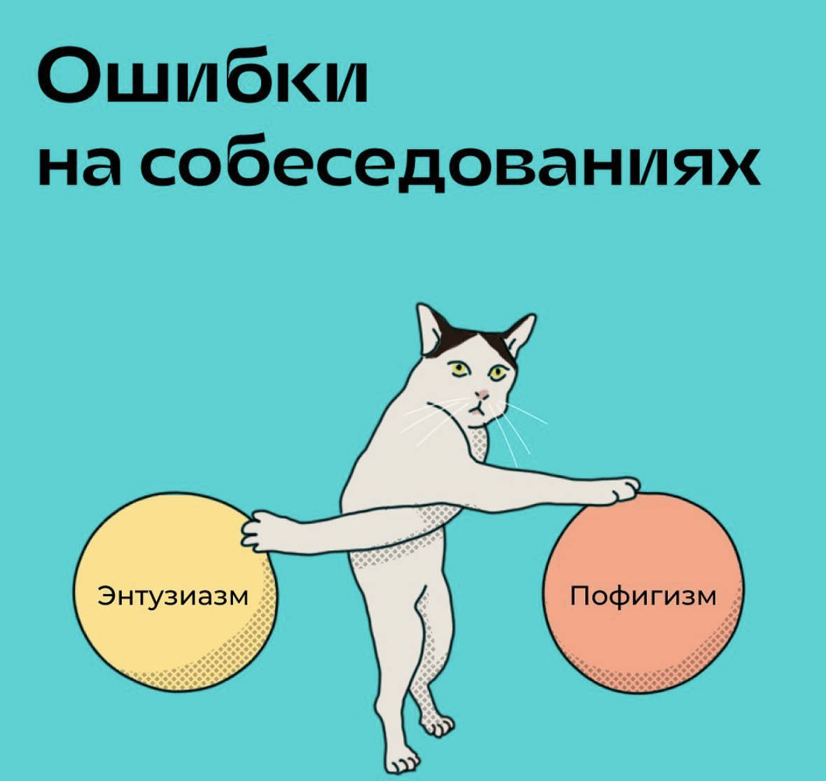 Котик запутался.