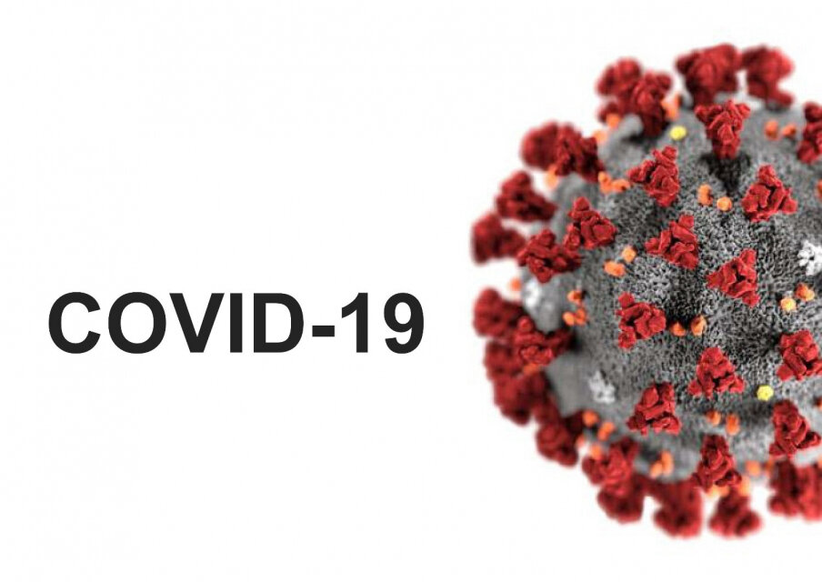 изображение из яндекс картинок