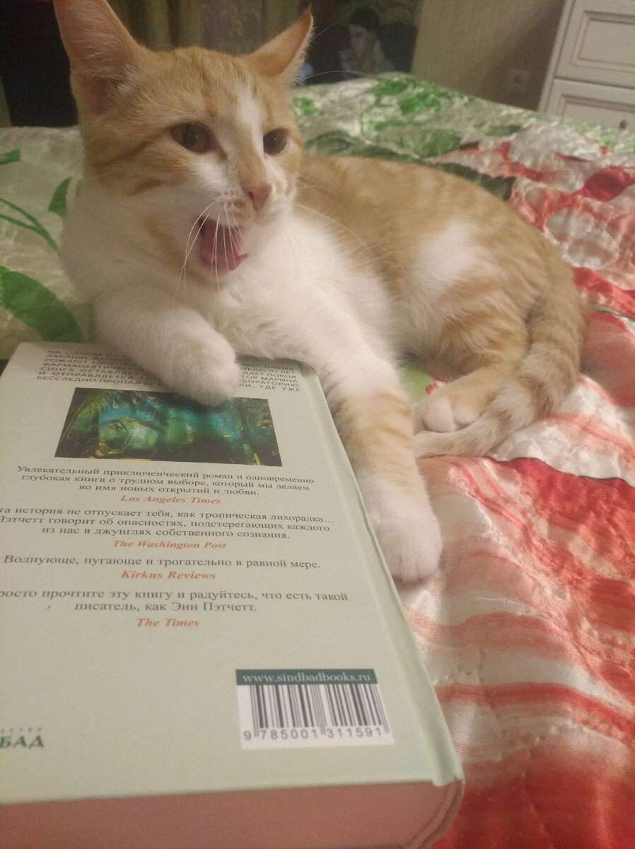 АААА. Ни ребенка, ни котенка...