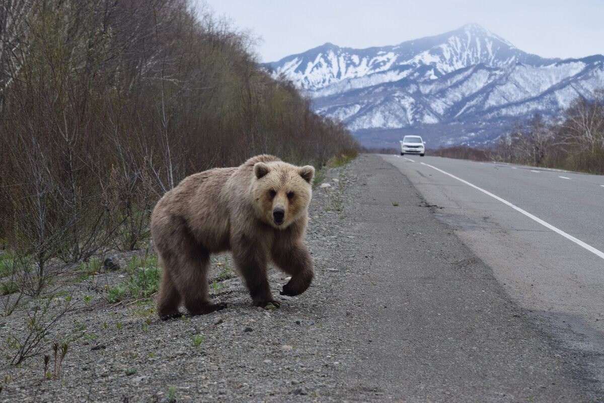 Фото: Наталья Маврина, участник конкурса "Самая красивая страна"
