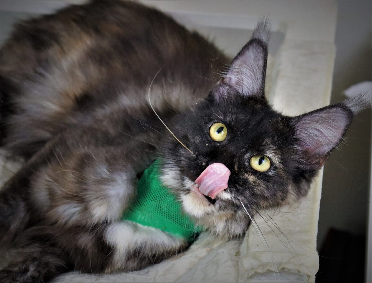 Фото из личного архива.