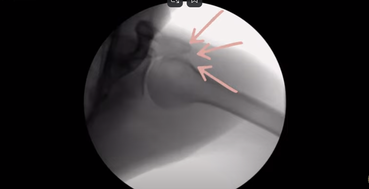 Картинка из сети интернет.