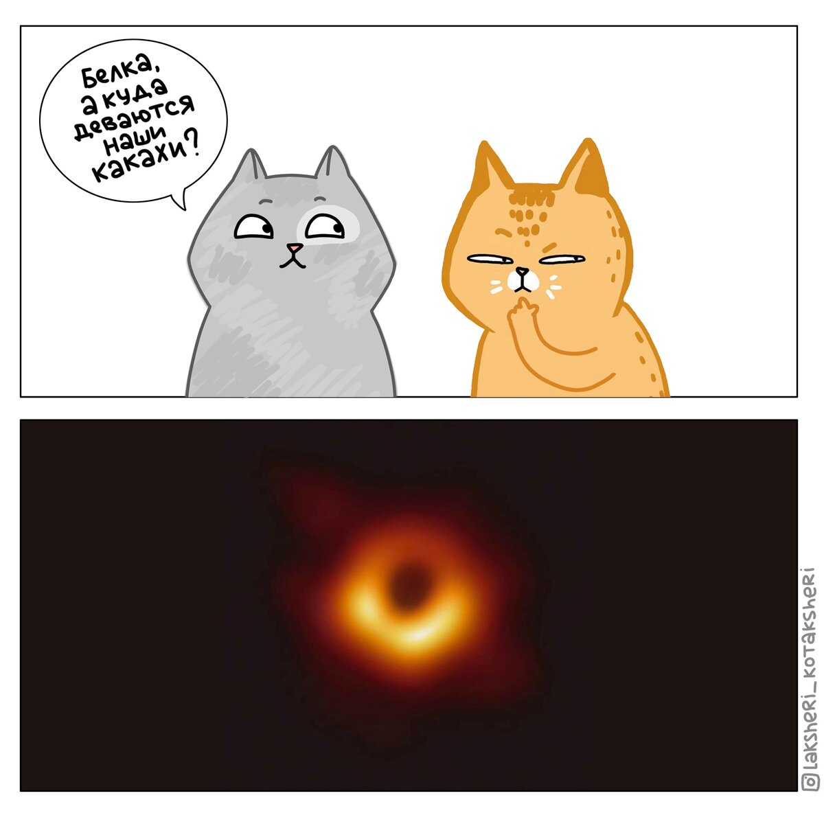 Факты о кошках. Почему котикам 1 час. Почему котикам 1 час. Почему люди заводят кошек. Почему котикам 1 час.