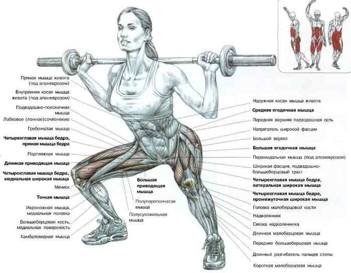 Очень много пользы от одного приседания! 
