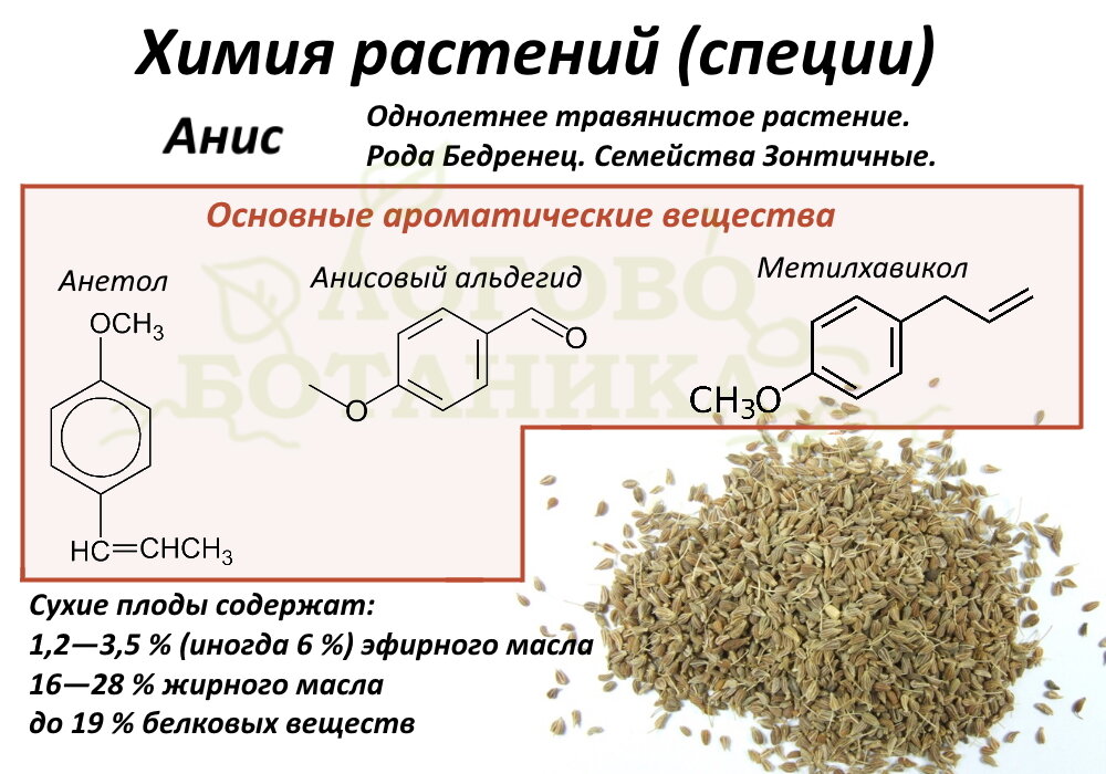 Запах цветов химический состав. Растение разбор химического.