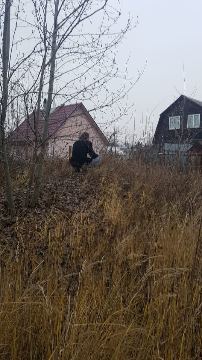 Размышления о вечном