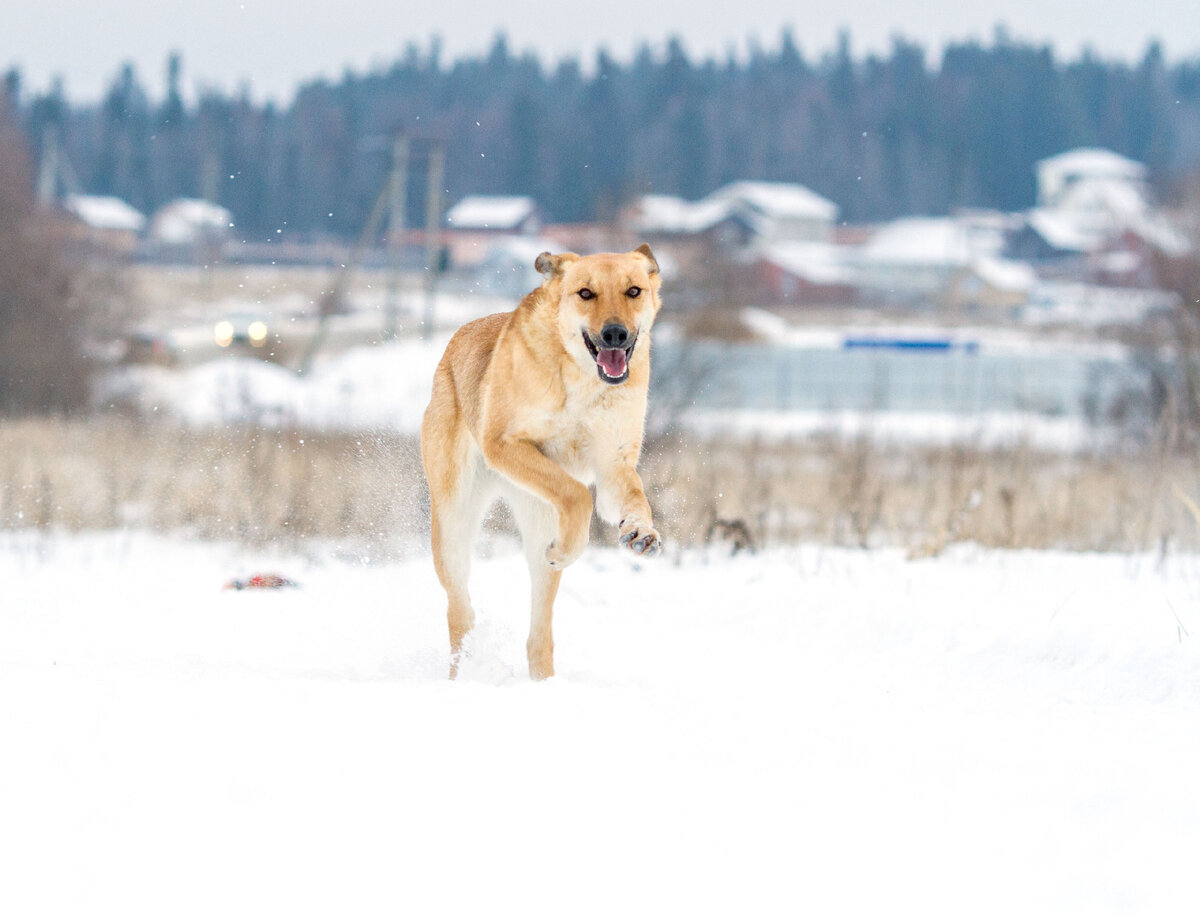 Зажигательная Зумба не только рвется на встречу субботе, но и с замиранием сердца ждет своего человека!