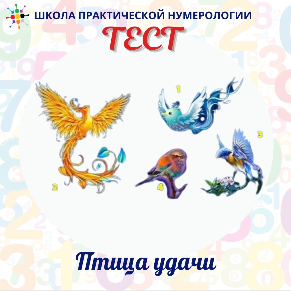 Тест птицы