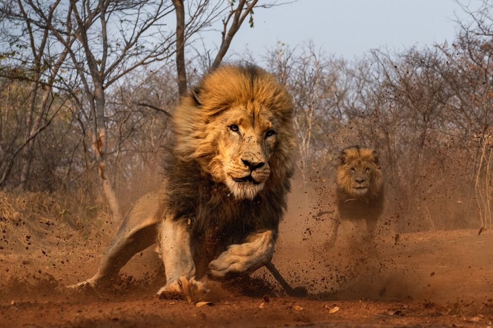 Дмитрий Николаев, Россия, Москва