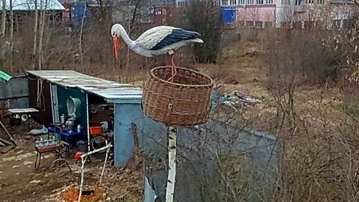 Не выбрасывайте декоративного сломанного аиста. Сделал самодельное гнездо аиста.