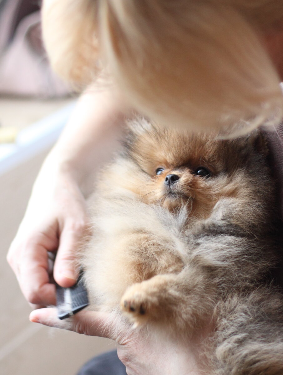 Я и ОБ Николь.