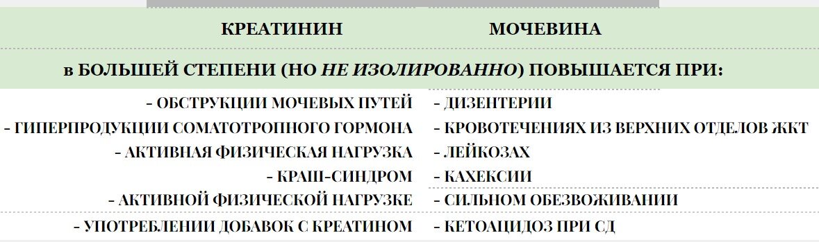 Анализ крови на мочевину и его значение