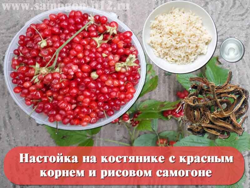 Корень калгана - полезные свойства и рецепты применения