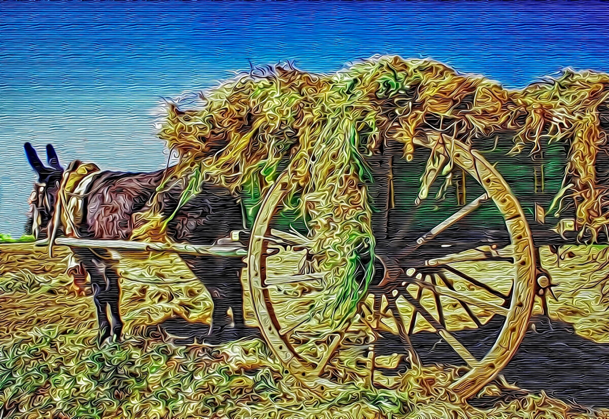 Ослик, запряжённый в двуколку. Обработка автора.