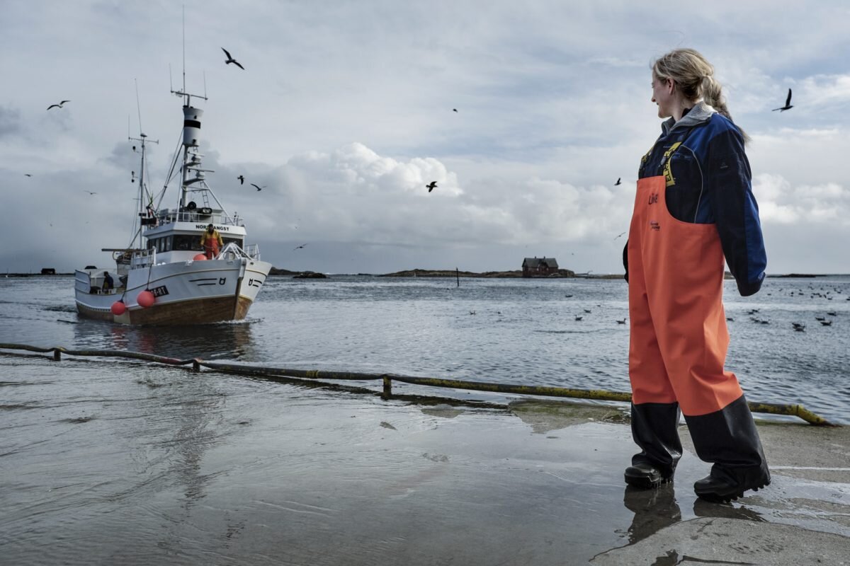 Фото: Рыбалка в районе Лофотенских островов составляет до 80% импорта всей Норвегии