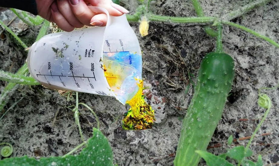 Фотография взята из источника nadachedom.ru 