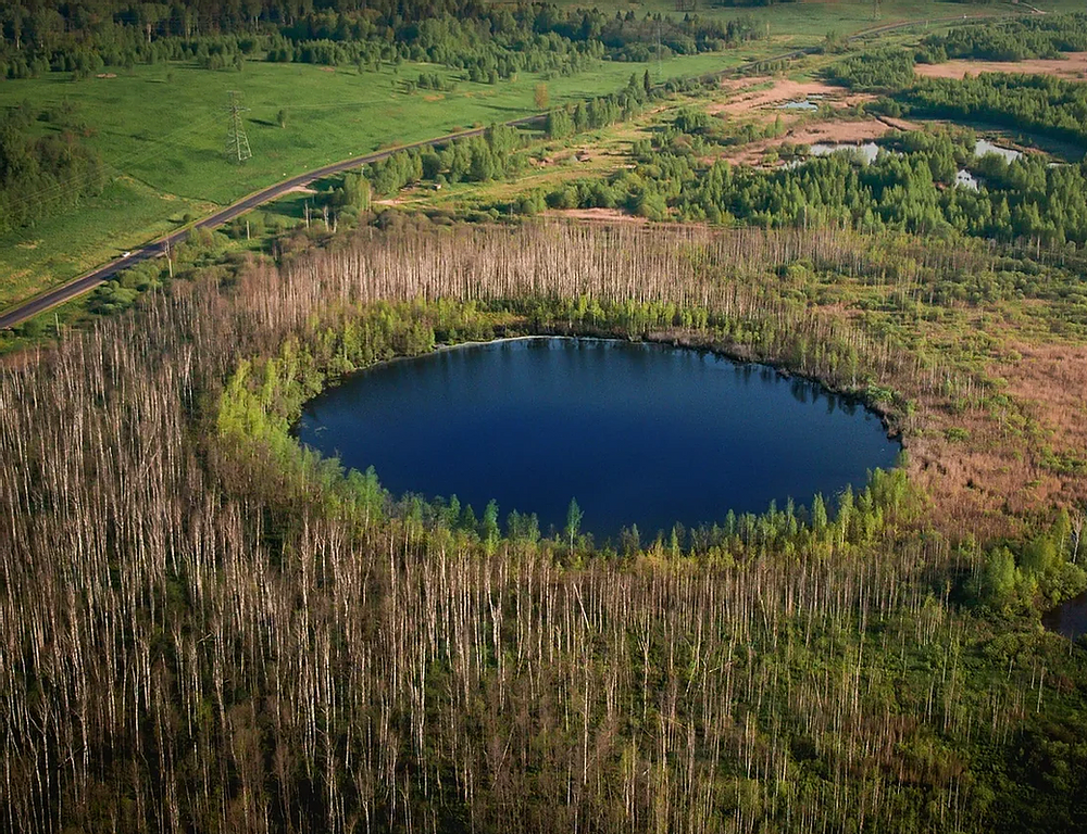 Озеро сельма шатурский район