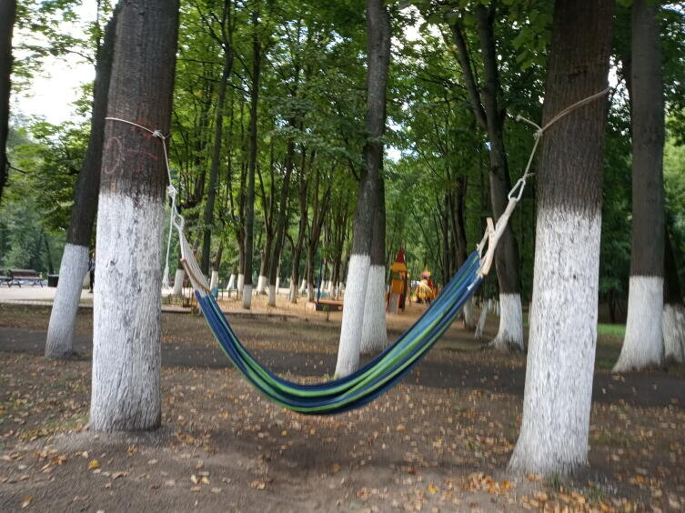 Отдых в паркеФото: Мария Иванчикова, личный архив