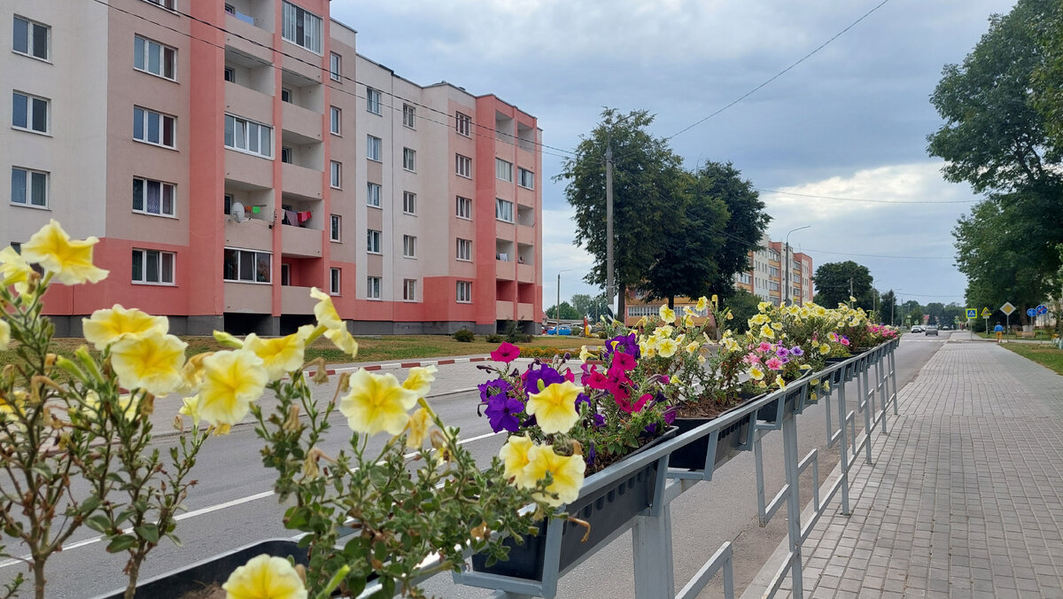 Проехала по востоку Беларуси. Думала будет хуже | Баба Таня | Дзен