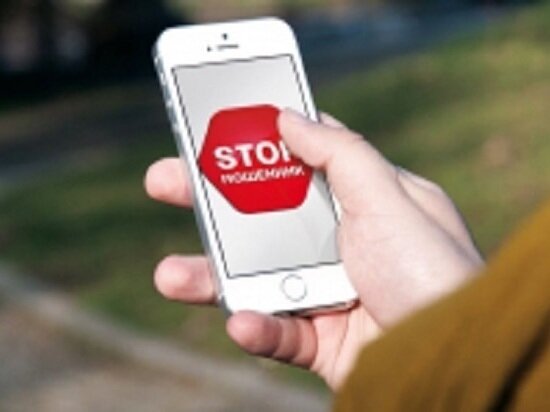     фото Пресс-службы УМВД России по Архангельской области