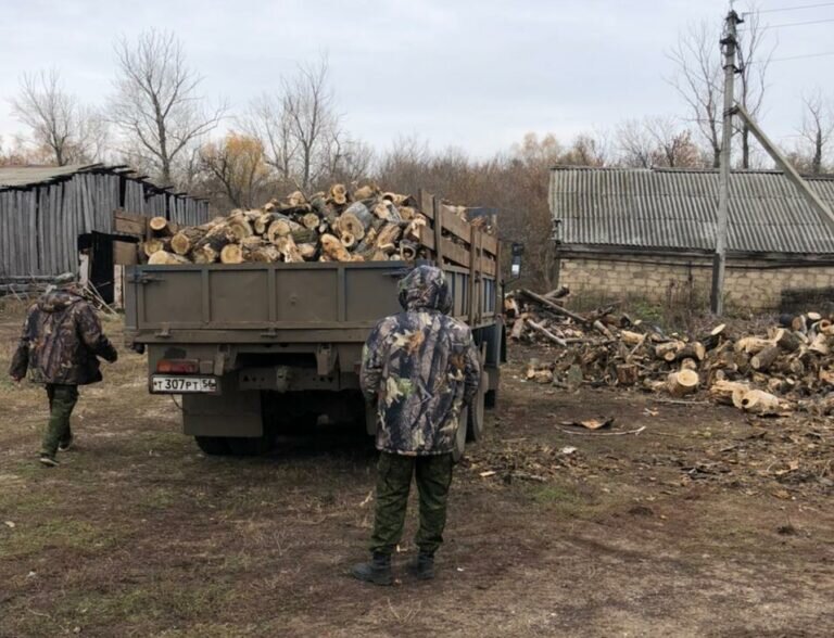    В Новосергиевском районе для мобилизованных передали 120 кубометров дров Елена Шкатова