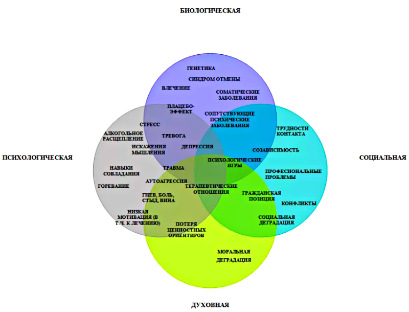 Составляющие зависимости. Био-психо-социо-духовная модель. Психо био социо духовное. Био психо социо духовная модель заболевания. Биопсихосоциодуховная модель зависимой личности.