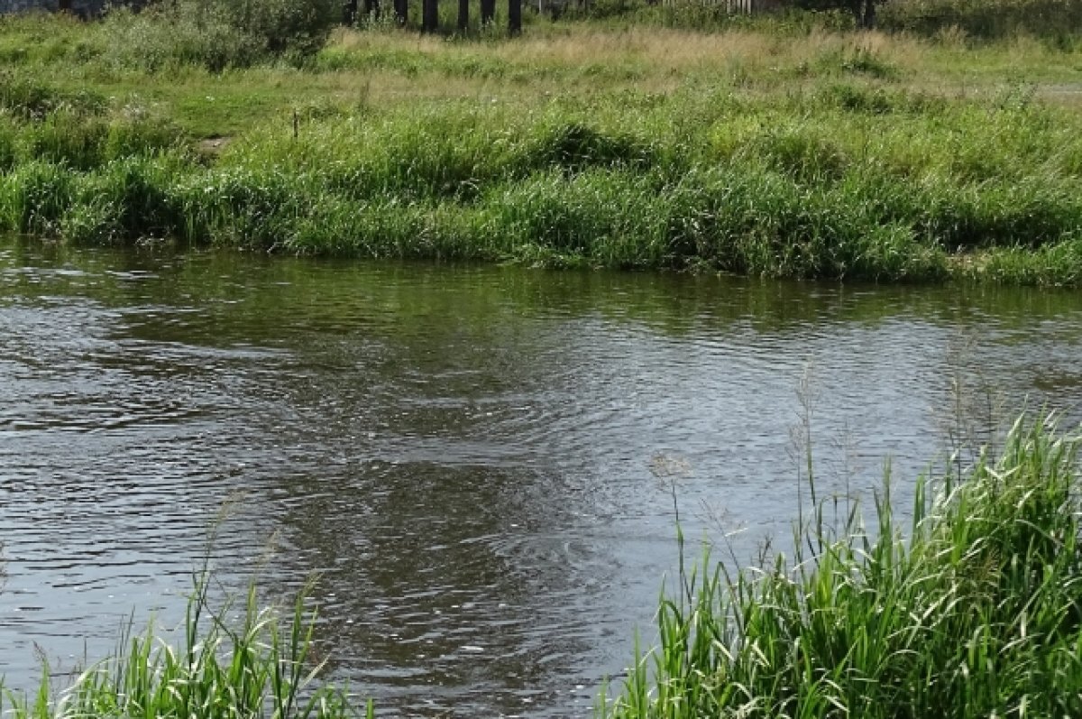    компания систематически нарушает правила золотодобычи, а также не соблюдает порядок отработки месторождения.