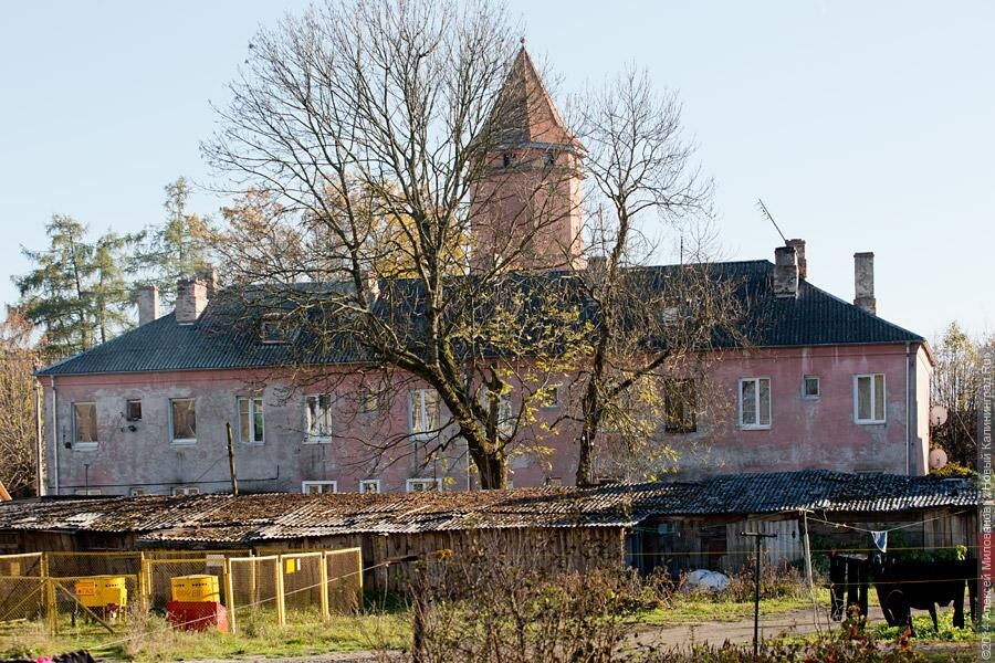 Фото: Алексей Милованов / Новый Калининград