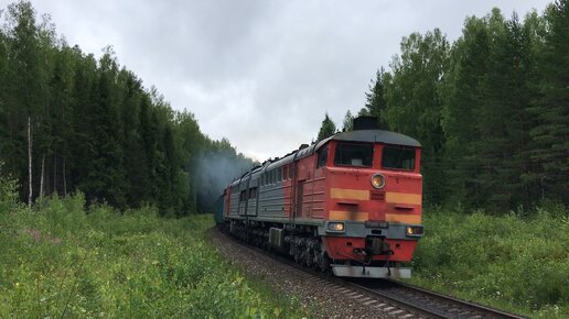 Короткий грузовой поезд в Вятской глуши. Перегон Староверческая - Безбожник