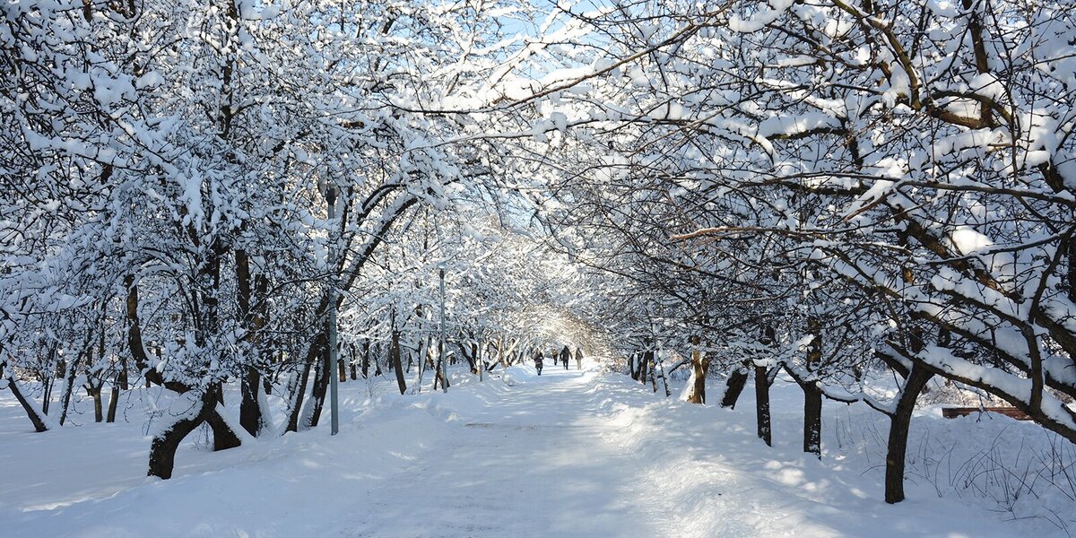 Парк Северное Тушино. Фото из открытых источников интернет