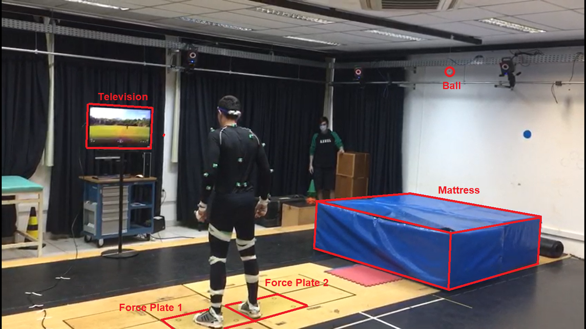     Фотография эксперимента. Помимо вышеперечисленного ученые подвешивали макеты мячей в местах, соответствующих прилету мяча на видео. Rafael Luiz Martins Monteiro et al. / Scientific Reports, 2022