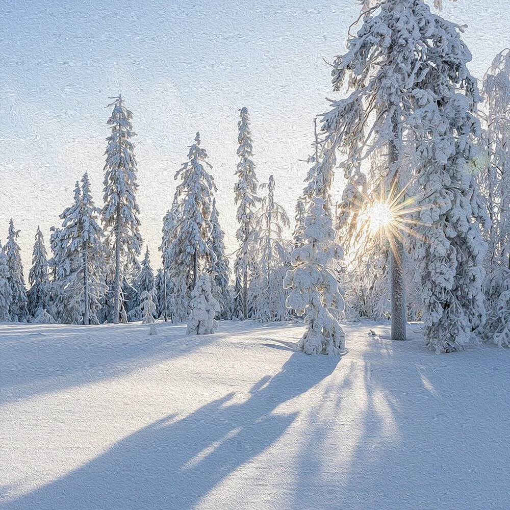 Наконец-то снег
