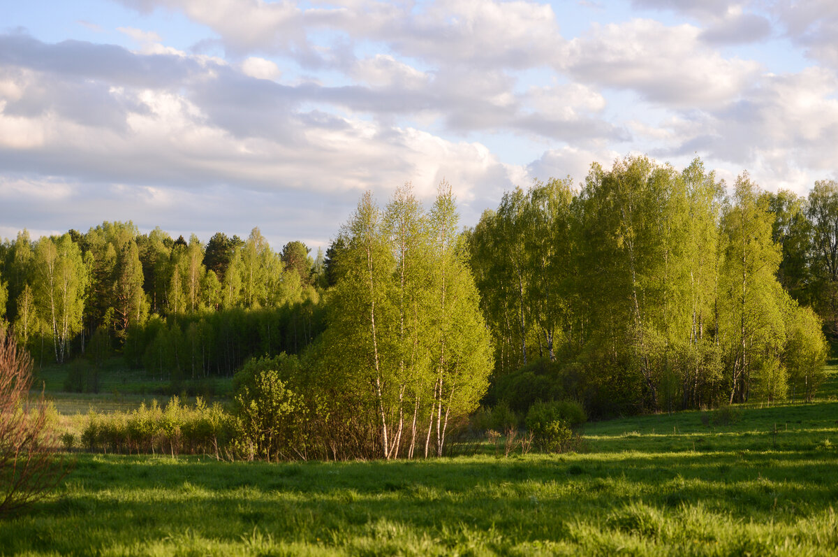 Весна в окрестностях "Станции Мир"