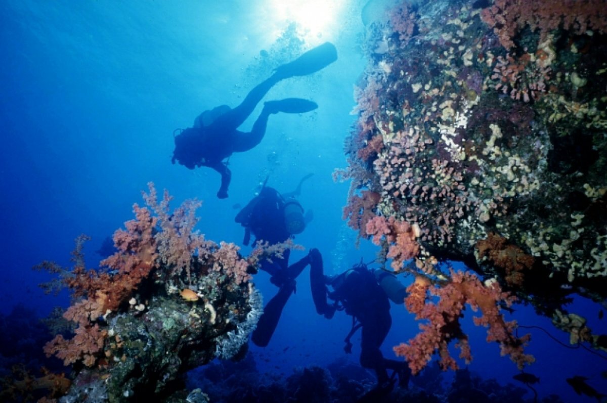    Пропавшая во время дайвинга в Хургаде россиянка до сих пор не найдена