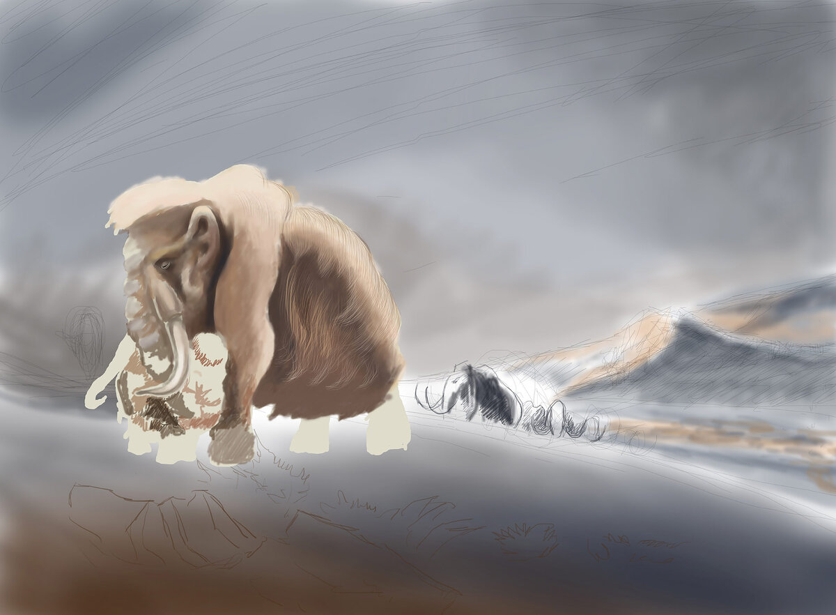 Рис. 1. Сибирские мамонты. Рисунок © Алина Коноваленко
