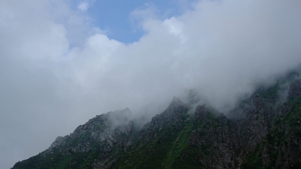    Фото: Unsplash Август Макаров