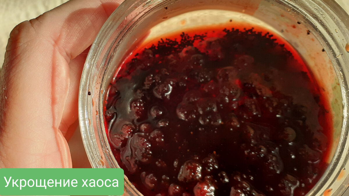 На дне видны семена